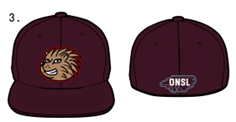 Porcupine "Game Day" Hat